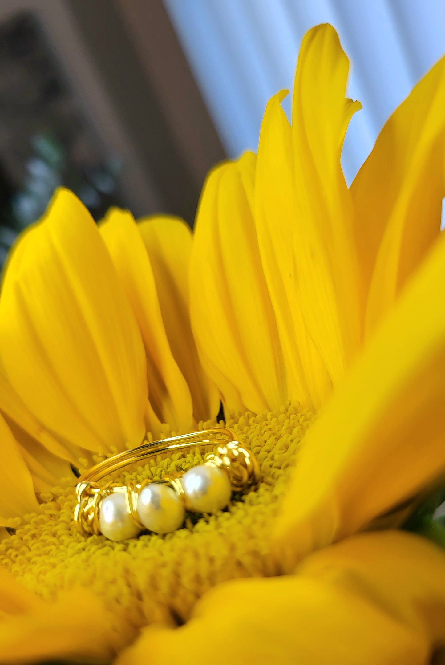 Anillo Italia