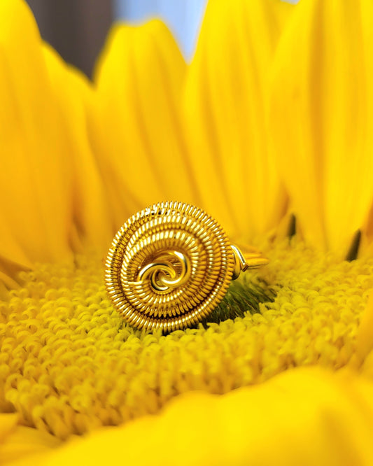 Anillo Rosa