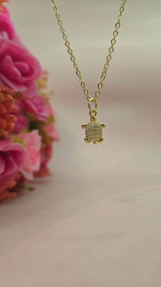 Chain Tortoise