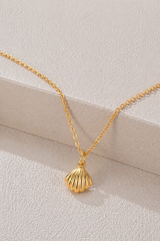 Chain Seashell