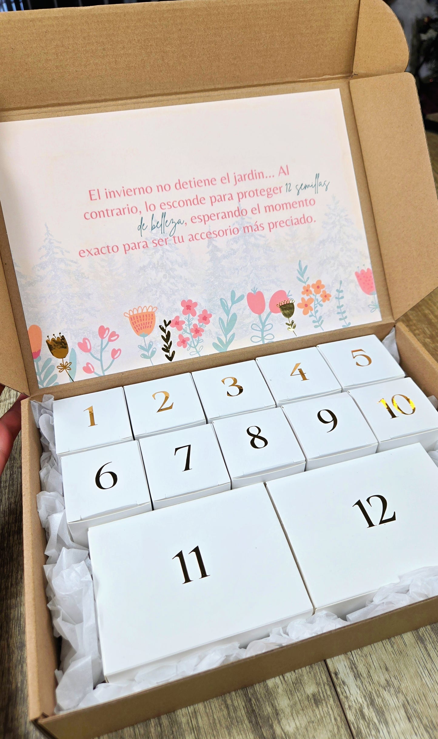 Calendario de Adviento 2025- Al azar (Edición Limitada)