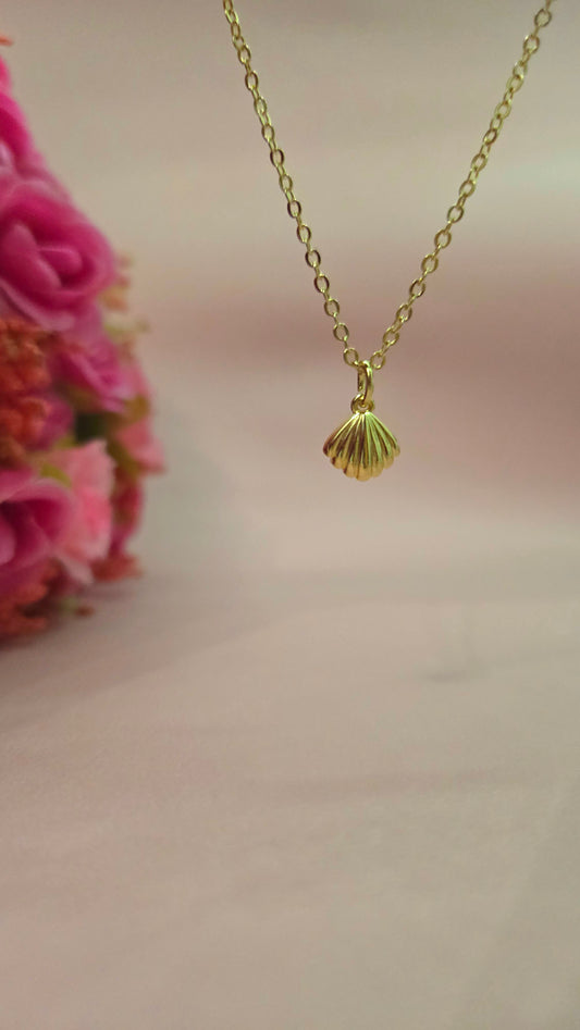 Chain Seashell